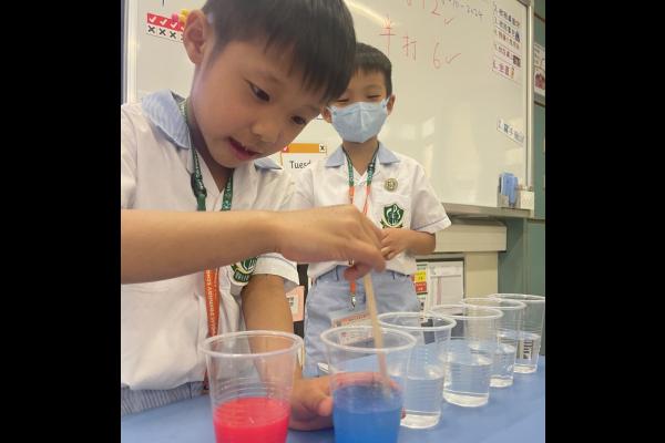 Hands-on Learning: Engaging in STEAM Activities!